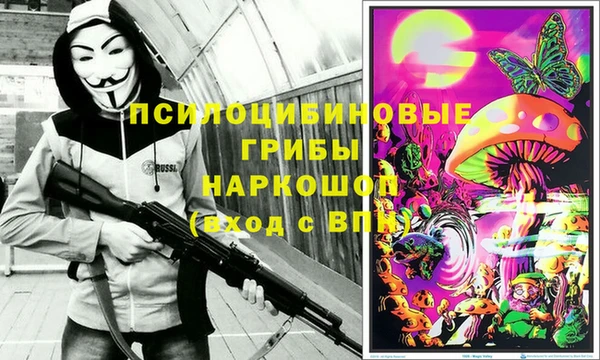 альфа пвп Алексеевка